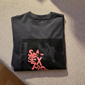 T-shirt - Mörkgrå t-shirt med sex pistols-tryck, storlek L (passar M). Nyskick. 
