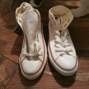 Skor converse  - Nya skor converse Storl 36 aldrig använda tyvärr för stora för mig Katt finns i hemmet 