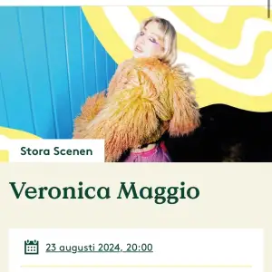 Söker två stycken Veronica Maggio biljetter till Liseberg!!! Skriv om ni har och vi kan betala lite dyrare än vad de var köpta för!🩷🩷🩷