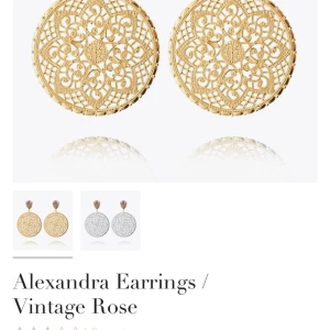 Caroline Svedbom örhängen - Säljer Caroline Svedbom örhängen i nyskick. Nypris: 900kr Säljes för 700kr. Pris kan diskuteras vid snabb affär