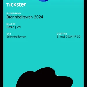 Bränbollsyranbiljett - Basic 