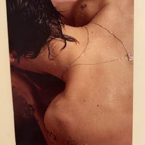 Fin Harry Styles poster med bilden från hans första album. Bra skick! 