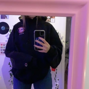 vintage champion hoddie  - vintage champion hoddie, mycket fint skick! 😊💫 säljer vid bra bud! bud just nu:350kr