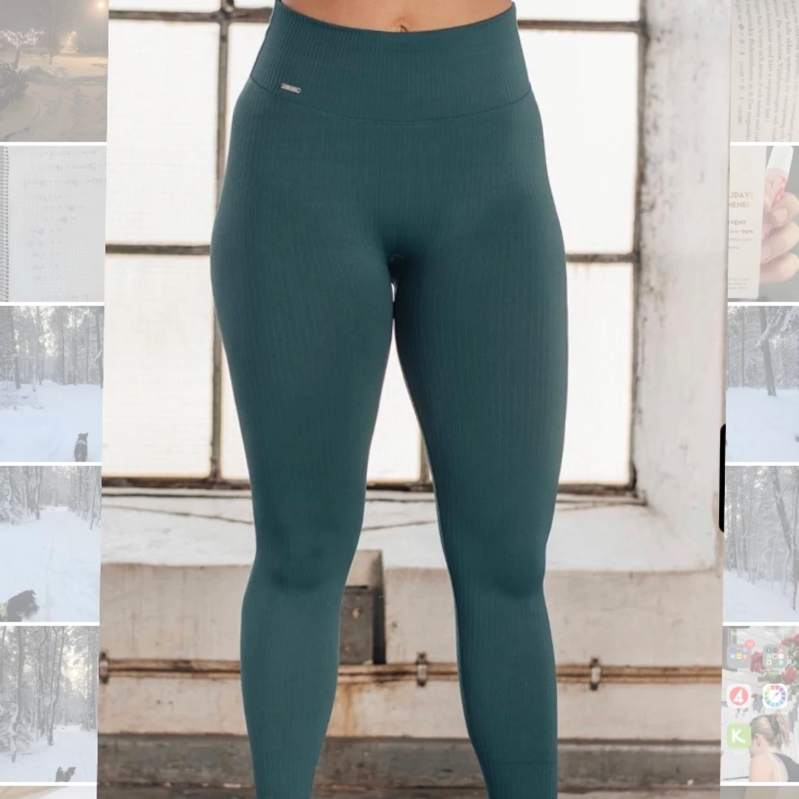 Aimn seamless Tights