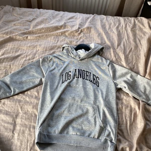 Hoodie - Köpt från SHEIN för ca ett halv år sedan. aldrig använd. Köpt i S men passar Folk i M och S. Beror på hur man vill att den ska passa. 