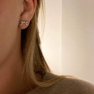 Silvriga örhängen från Enblad