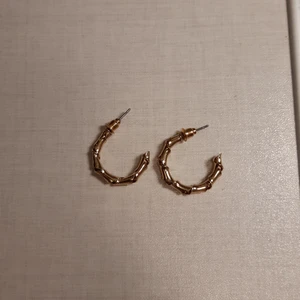 Örhängen - Inte använda, 35 kr frakt: 20kr