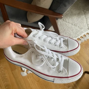 NYA CONVERSE  - Låga converse -NYA oanvända i Stl 37,5
