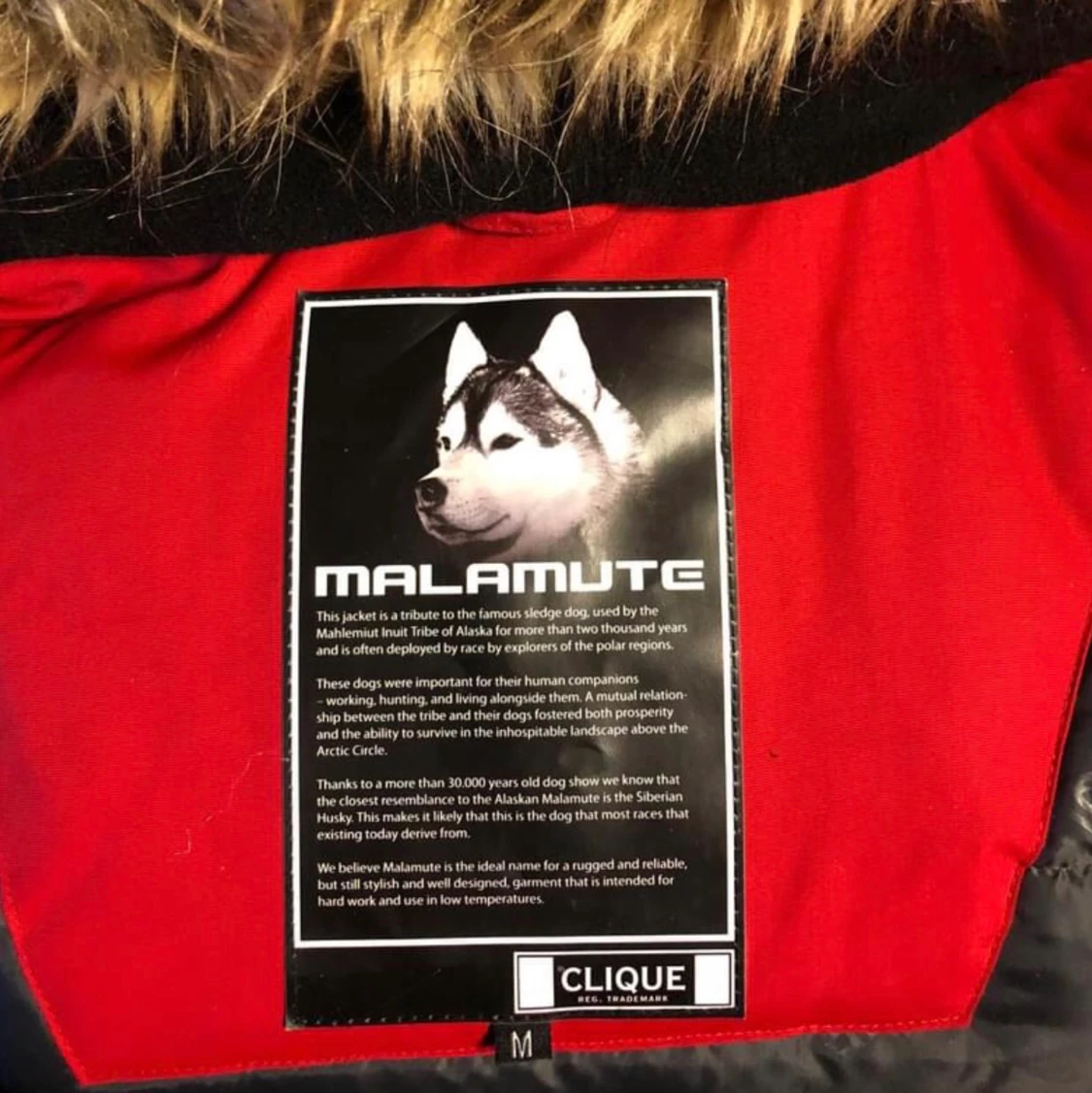 Vinterjacka CLIQUE - 91