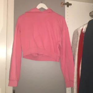 Rosa Hoodie😜 - En rosa Hoodie som tar slut vid midjan! Så en kortare variant! Används inte längre😽