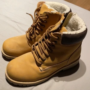 Vinterskog - Fina vinterskor