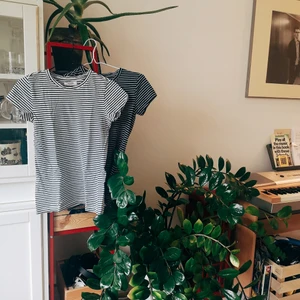 Randiga tshirts, köp en eller båda! 🤍🖤 - 🖤🤍 Tvåpack randiga t-shirts från Zalando essentials. Storlek 34 på båda. Inga synliga fel.  Pris: 130 inkl frakt för båda, en för 70 inkl. 