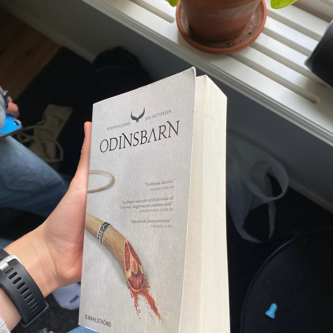 Bok- Odinsbarn - 91