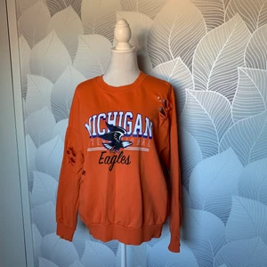 Gina Tricot sweatshirt  - använd flera gånger men den är i bra skick med inga defekter, säljer pga fel storlek: storleken är small men i plussize så den passar alla med storlek S till XL - skriv privat om du vill ha mer bilder eller om du har en fråga :)