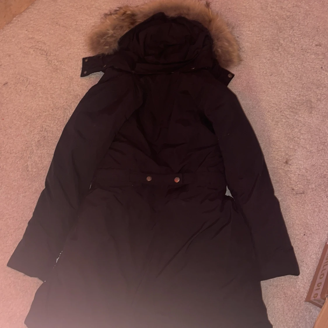 Ver de terre st xs-s  - 91