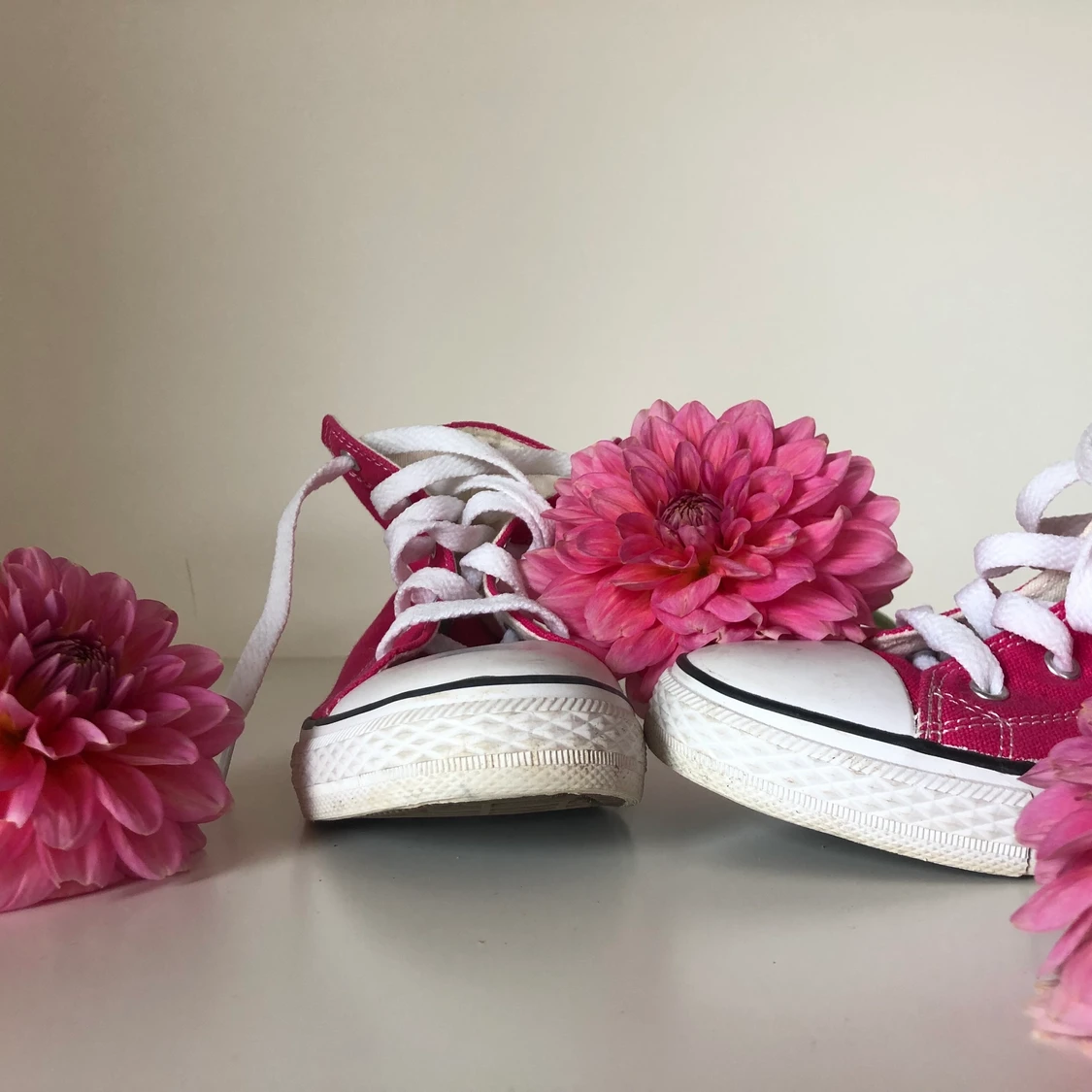 Oanvända cerise converse
