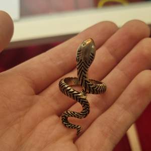 En gammal orm ring som är ungefär 2år gammal.