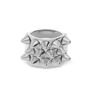 Edblad ring  - Edblad ring i silver, strl XL (19,5mm). Har inte använt den så mycket då jag mest använder guld smycken🤗den ser ut som ny💞 skriv om ni har några frågor! Edblad asken tillkommer ej