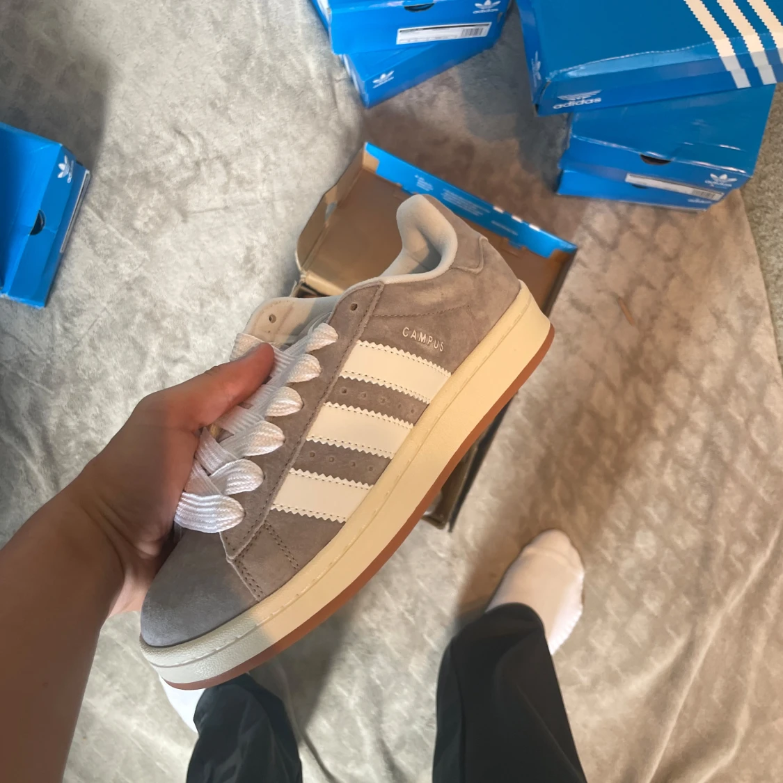 𝗔𝗱𝗶𝗱𝗮𝘀 𝗖𝗮𝗺𝗽𝘂𝘀 00 - 2