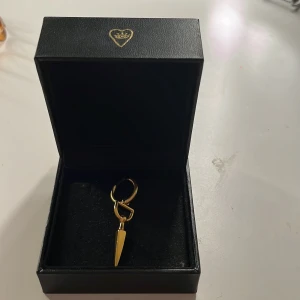 Maria Nilsdotter örhänge  -  Är det någon som skulle vilja byta ett sånt här örhänge mot ett likadant i silver? Annars kan jag sälja det här för 2295 nypris:2895