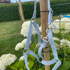 Ljusblå grimma  - Säljer min blå grimma då den inte andvänds. Storlek full, bra skick. Endast andvänt några gånger. Kan skickas mot fraktkostnad. Läs mer på Hästnet Ebba T. Är mer aktiv där. ‼️TRYCK EJ PÅ KÖP, TAR ENDAST SWISH‼️