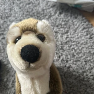 Gosedjurs Varg - En fin gosedjurs varg som är oanvänd. Jag köpte den till mig själv för 2 år sen men den har bara legat i mitt sängbord och är helt oanvänd.