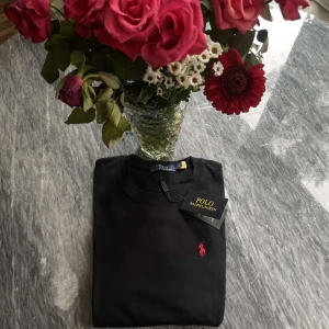 Ralph Lauren T-shirt  - Säljer en helt ny Ralph Lauren T-shirt som jag fick i födelsedagspresent. Tröjan är i perfekt skick då den är helt ny och super fin. PASSAR ÄVEN DIG SOM HAR STORLEK XS!