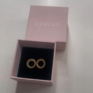 Guldörhängen från Edblad - Snygga guldörhängen från Edblad. De har en glittrig detalj inuti cirkeln. Knappt använda!