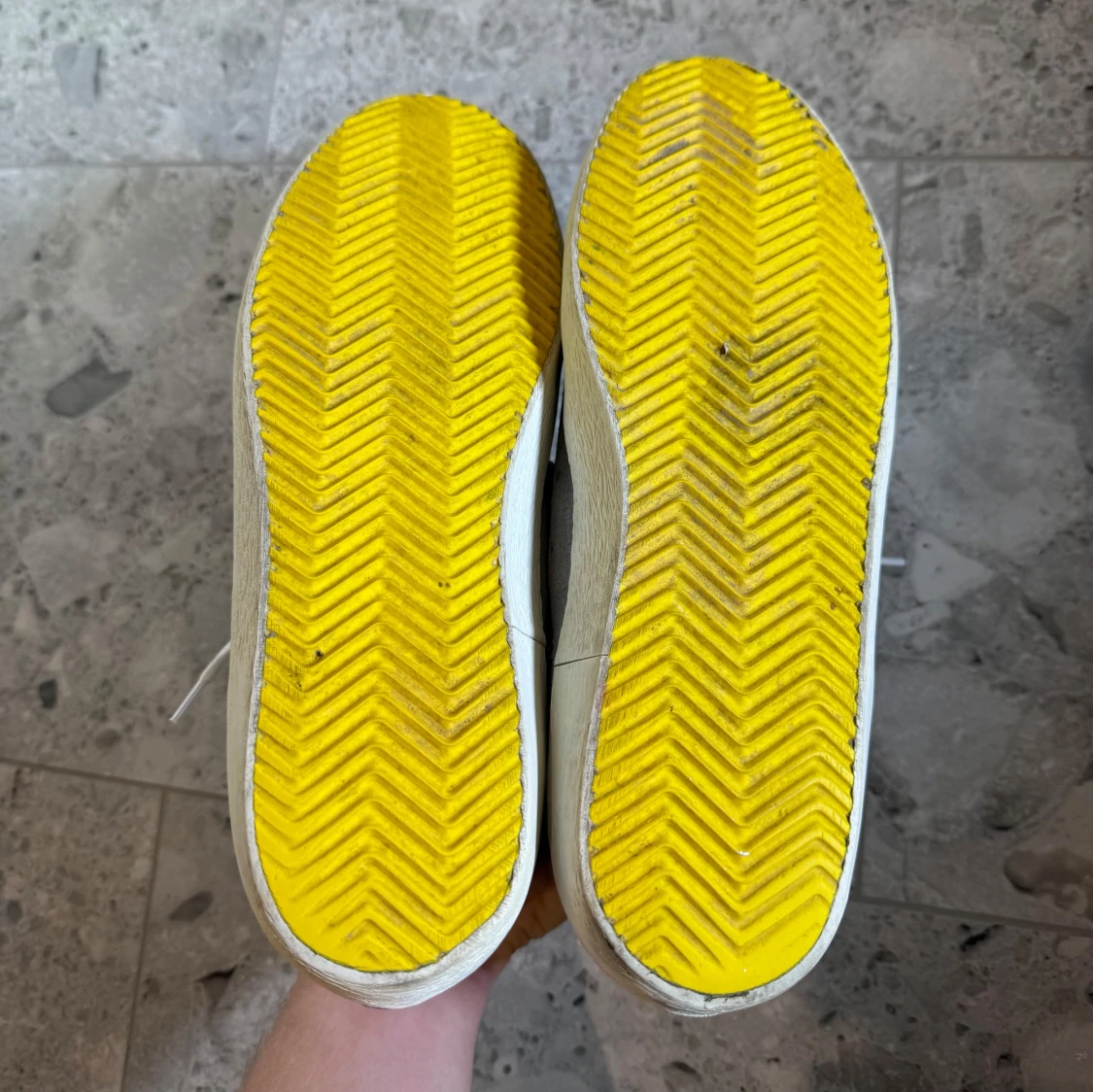 Gråa Golden Goose - 4