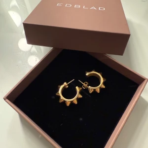 edblad örhängen  - jättefint skick, lådan följer med! säljer för jag har bytt till silver smycken🩷