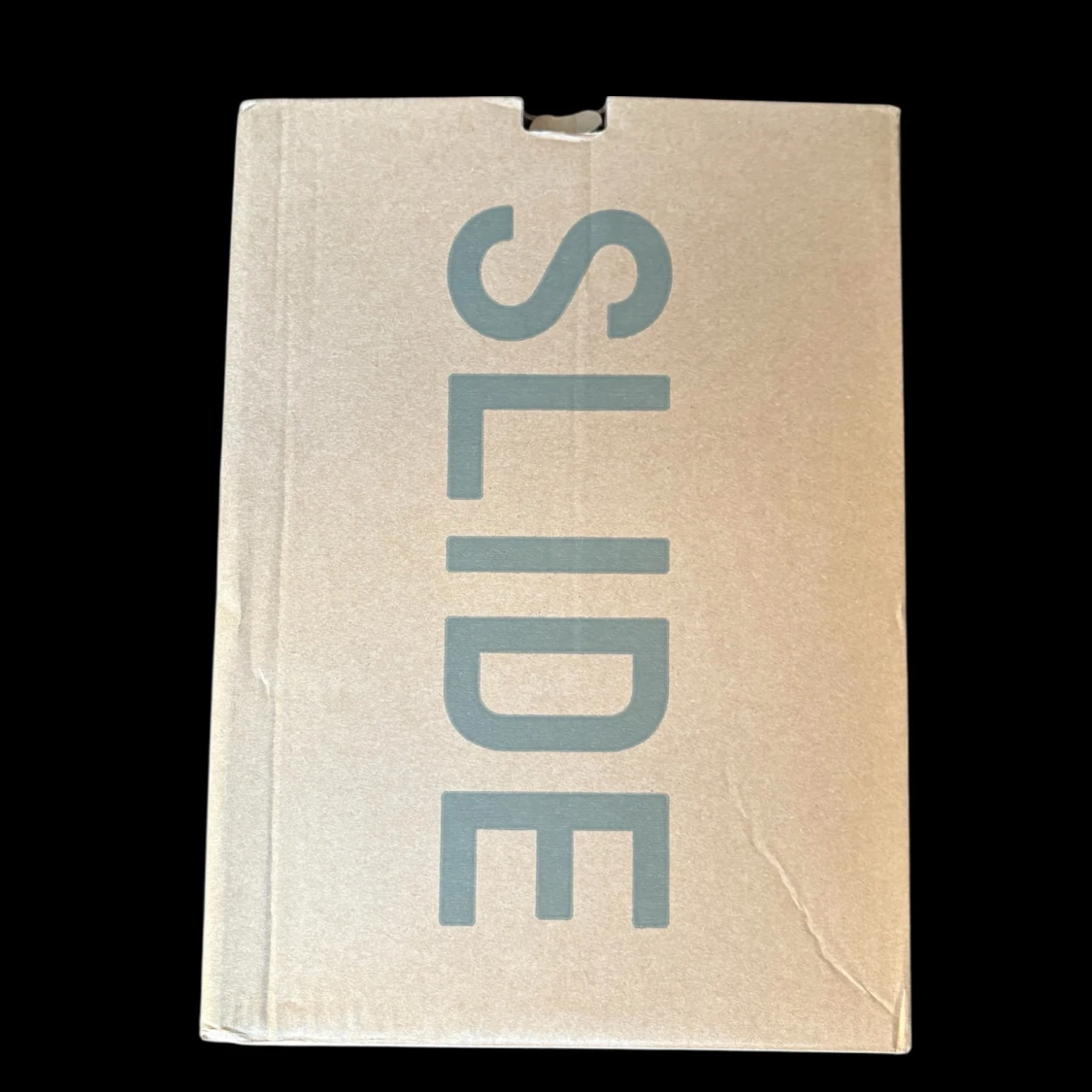 Adidas Yeezy Slide Bone  - 2