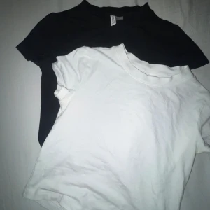 T-shirts - Två T-shirts från H&M, båda i bra skick och storlek S men passar även XS. 150 för båda och 70 för en.