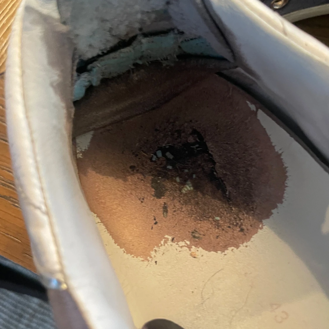  Philippe Model Blå - 4