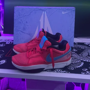 Signerade Basketskor Nike Ja 1s - Säljer dessa skor nu eftersom jag sparar till något annat. Skorna är signerade av två spelare i svenska basketlandslaget därför går skorna upp i pris. Kan sänka pris vid snabbt köp.
