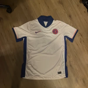 Chelsea Palmer 20 bortatröja Nike - Chelsea FC bortatröja med Palmer 20 på ryggen. Riktigt snygg aldrig använd pga den är för stor. Är M men passar L
