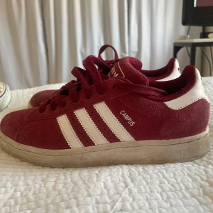 Adidas campus - Röda adidas campus skor i strl 37. Använda men i bra skick. 