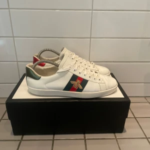 Gucci ace - Säljer nu dessa Gucci ace skorna i storlek 43.  bra skick, det är bara lite creasade och ett jättelitet hål som man kan se i sista bilden. annars väldigt bra skick  och box och allt og kommer med. Hör gärna av dig om du har några funderingar