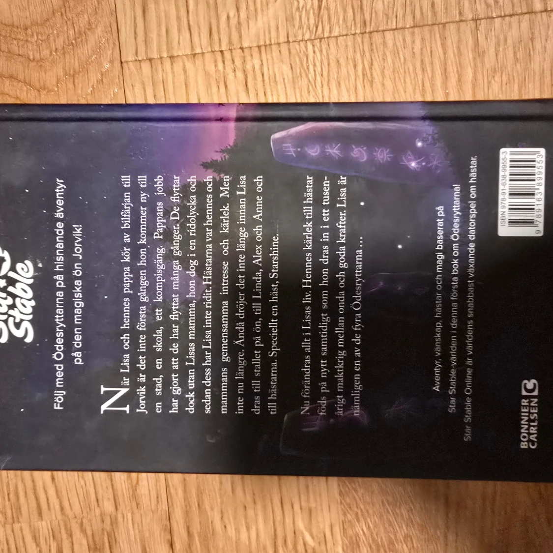 Star Stable: Ödesryttarna - Jorvik kallar - 1