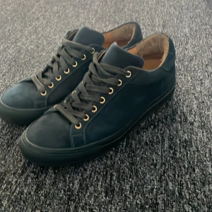 Blå sneakers från sandays footwear  - Snygga hel blå skor från sandays footwear lite skada på snöret men inga andra defekter ny pris 2100