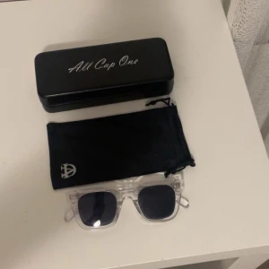 Solglasögon från All Cap One, Chimi liknelse  - Snygga brillor från All Cap One, använt ett fåtal gånger. Dustbag och fodral kommer inklusive med. Nypris: 449kr