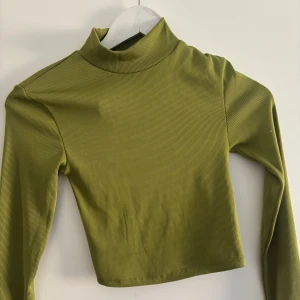 Grön ribbad polotröja med snörning - Säljer en trendig grön ribbad polotröja med lång ärm och en cool snörning i ryggen. Perfekt för att ge din outfit en unik touch. Tröjan är croppad och passar bra till både jeans och kjol.