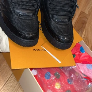 Louis Vuitton Skates - Brand new