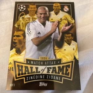 Hall of fame zinedine zidane - Bra skick
