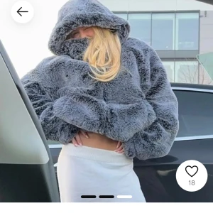 SÖKER!! Faux fur zara - Söker denna jackan! Villig att betala mer än nypris 