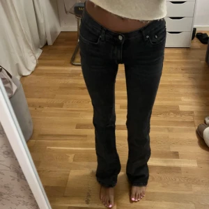 Bootcut jeans  - Säljer dessa Low waist Bootcut ifrån Gina Tricot. De är mörkgrå 