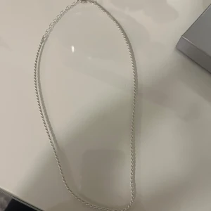 Silverfärgat halsband - Elegant och enkelt silverfärgat halsband med en tunn kedja. Perfekt för att lägga till en subtil touch av stil till vilken outfit som helst.