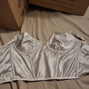 Korsett topp - Jättesnygg korsett topp köpt för cirka 3 månader sen. Har aldrig använt den endast testad men var inte min stil. Säljs eftersom jag ska flytta och behöver rensa ut garderoben.  Kan fraktas eller mötas upp i Stockholm.