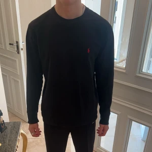 Raplh lauren sweatshirt  - Raplh lauren sweatshirt i storlek M! Bra skick och sitter bra till kroppen. Passar perfekt nu till hösten!