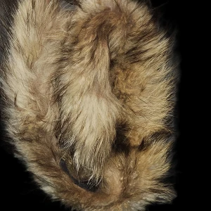 Brun pälsmössa med knappar - Säljer en supermysig brun päls med knappar för att fästa på jacka. Perfekt för kalla vinterdagar när du vill hålla dig varm och stilren. Finns lite lim vid sista knappen men inget som stör eller syns vid användning.