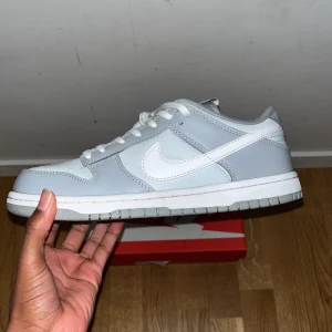 Nike dunks - Hel nya dunks skor som är oanvänd och nya kommer med box och allt som tillhör skorna.